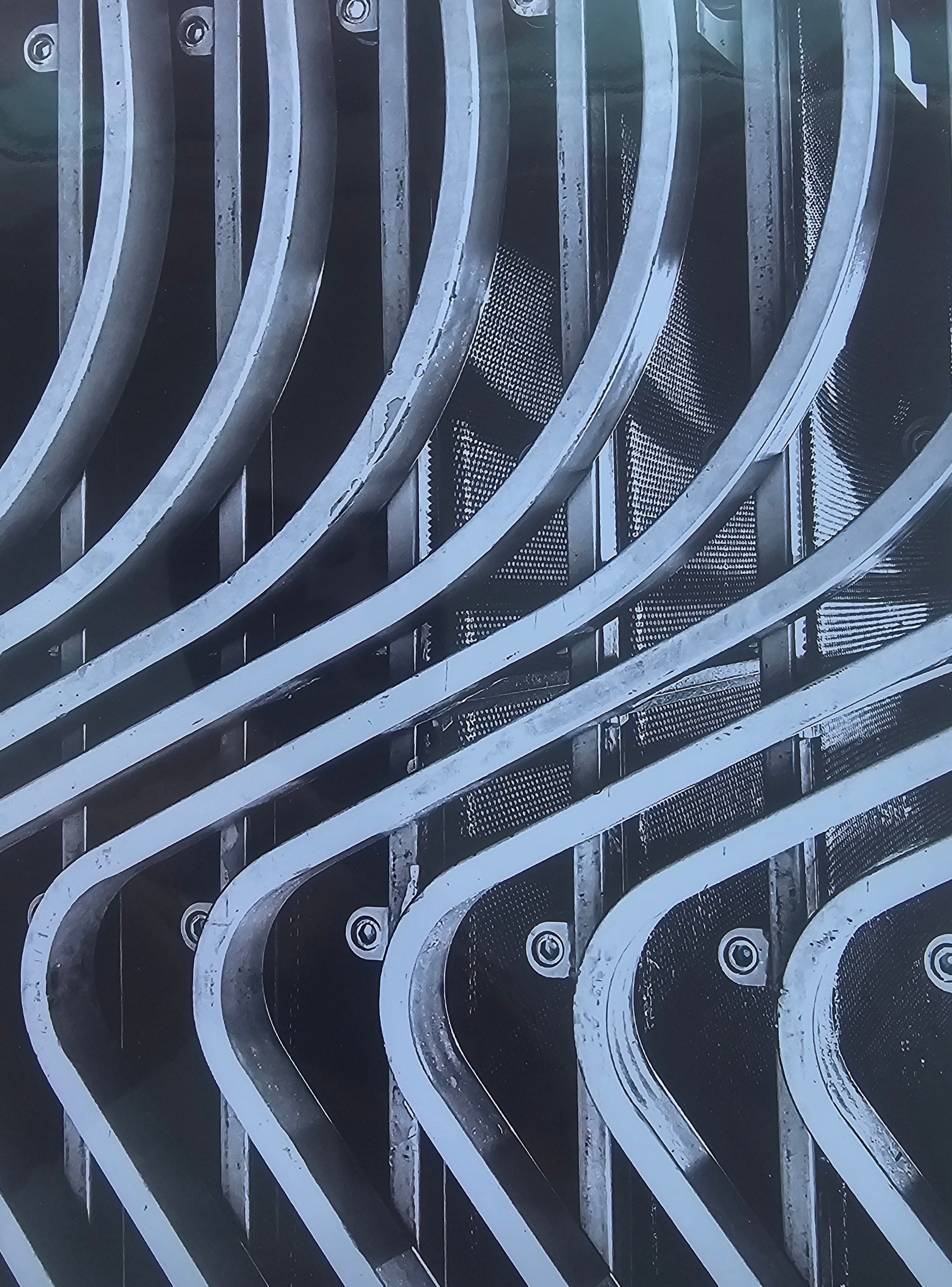 S Curve - Louise Millmann