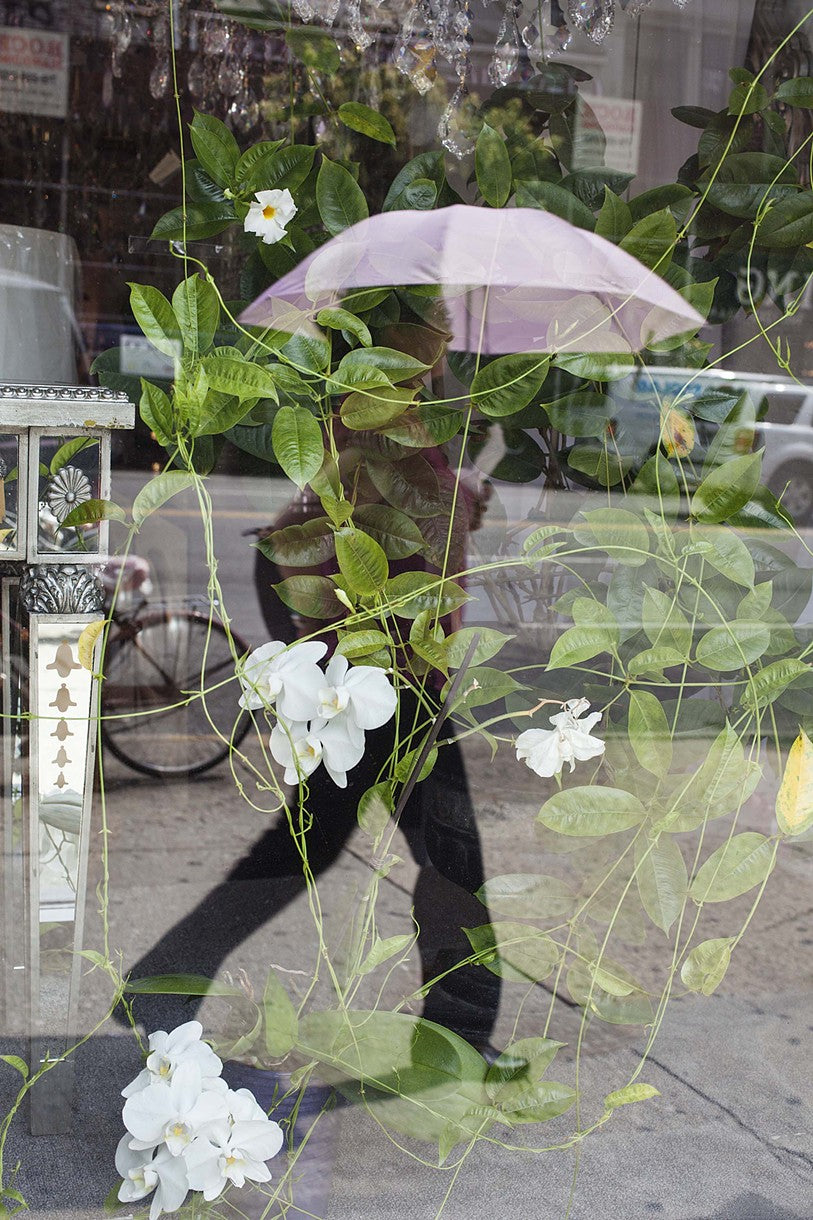 Pink Umbrella | Window Works Series | - Geanna Merola