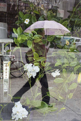 Pink Umbrella | Window Works Series | - Geanna Merola