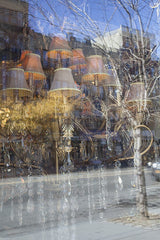 Lamp and Tree | Window Works Series | - Geanna Merola