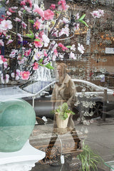 Woman with Artificial Flowers and Plant | Window Works Series | - Geanna Merola