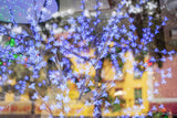 Blue Tree Lights, Bowery Window | Window Works Series | - Geanna Merola
