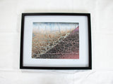 Cracked Close Up 1 - Lori Krein