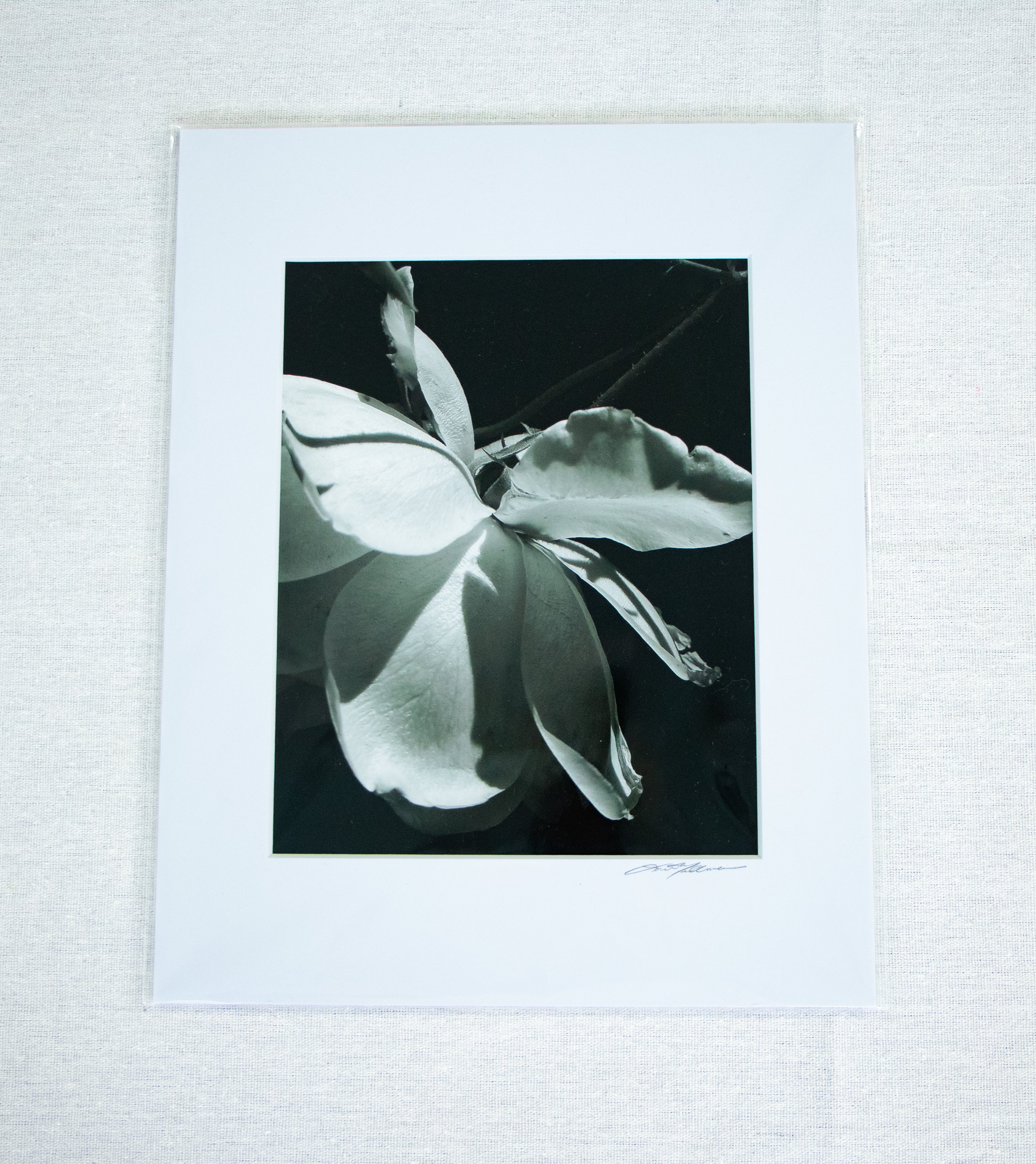 Flower for Immogene