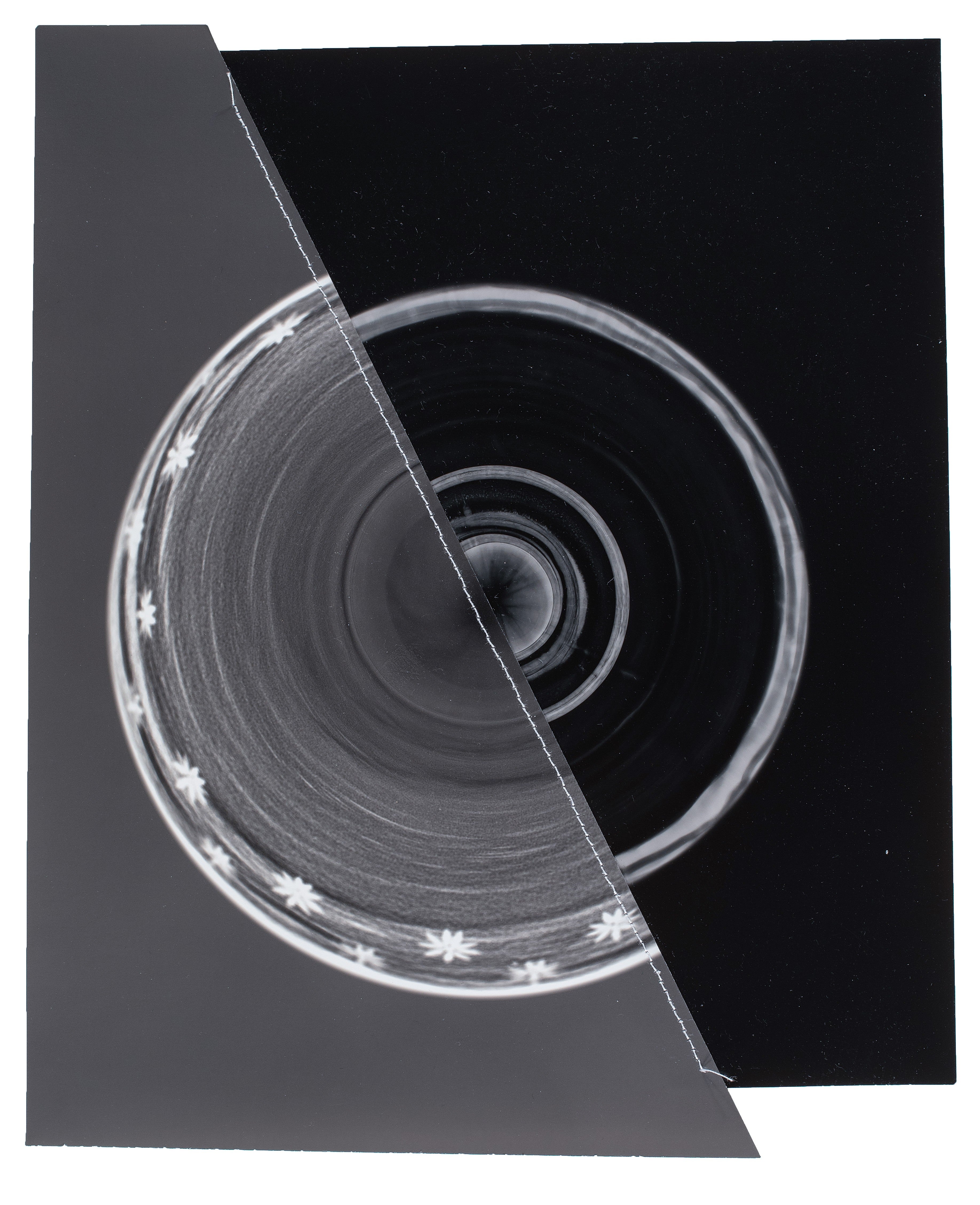 Photogram Collage #17