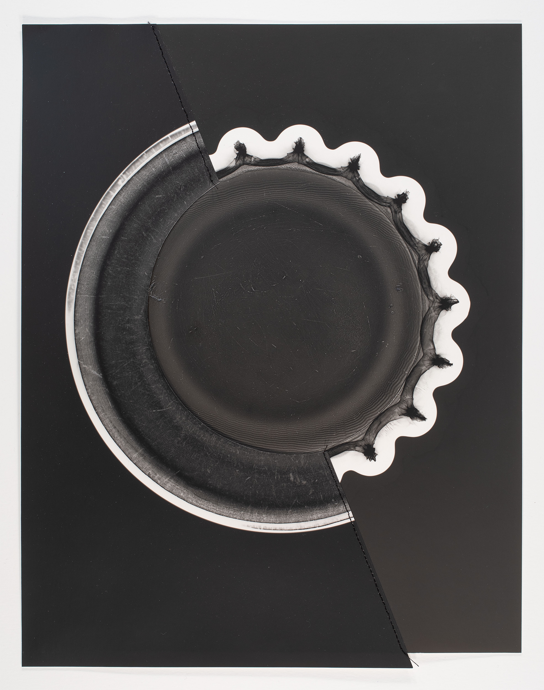Photogram Collage #25