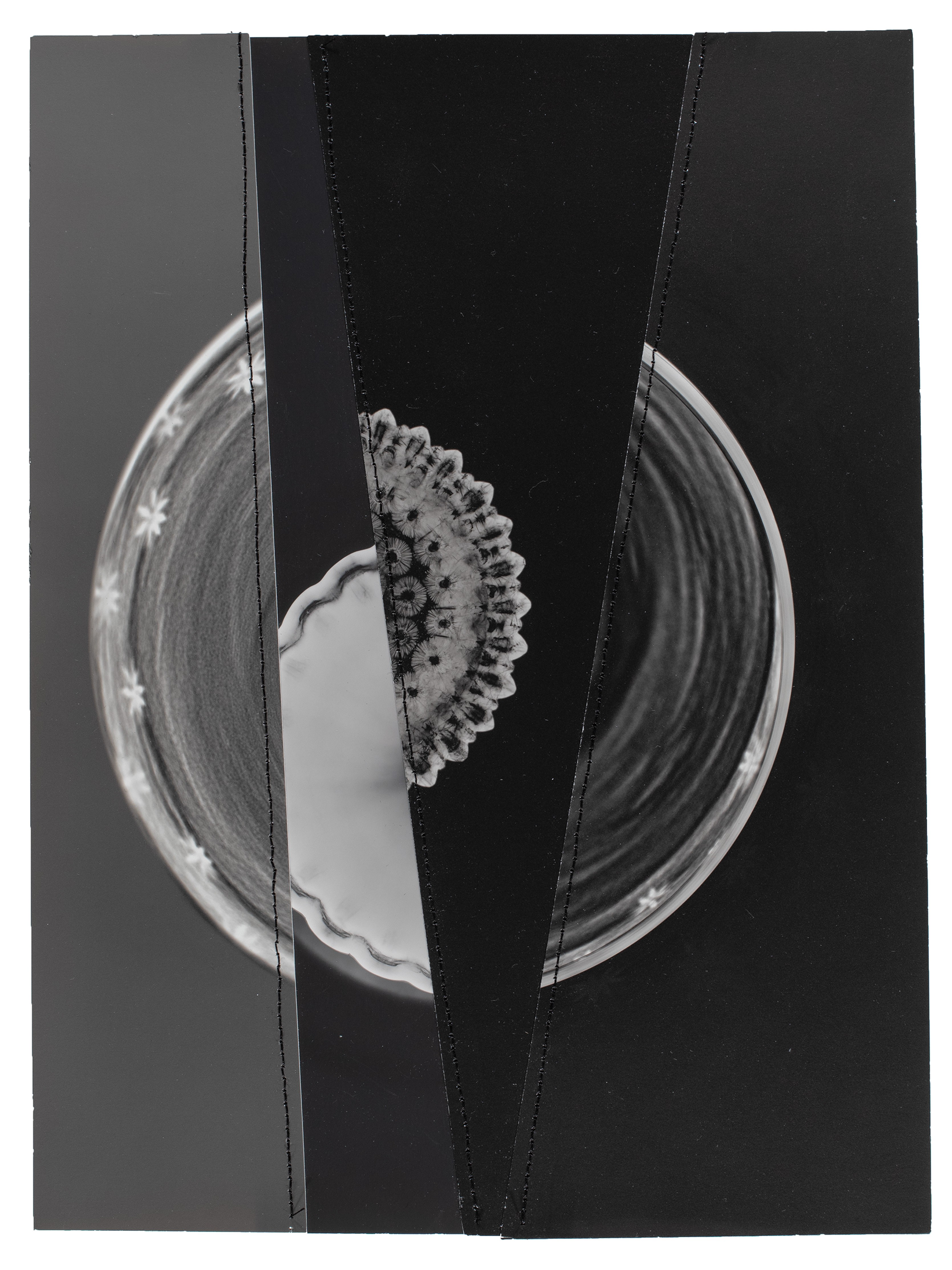 Photogram Collage #29