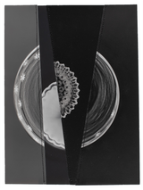 Photogram Collage #29