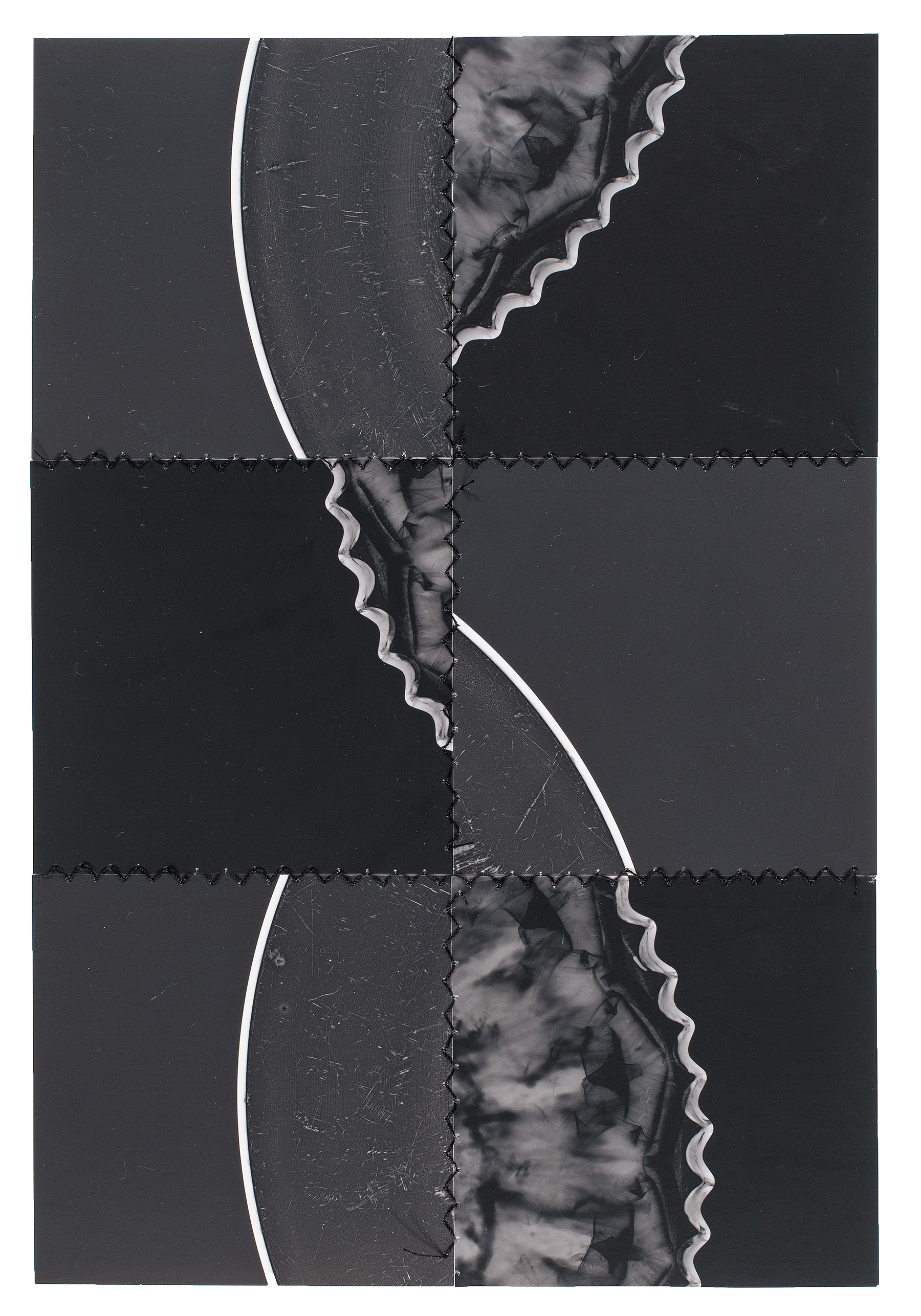 Photogram Collage #39
