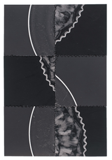 Photogram Collage #39