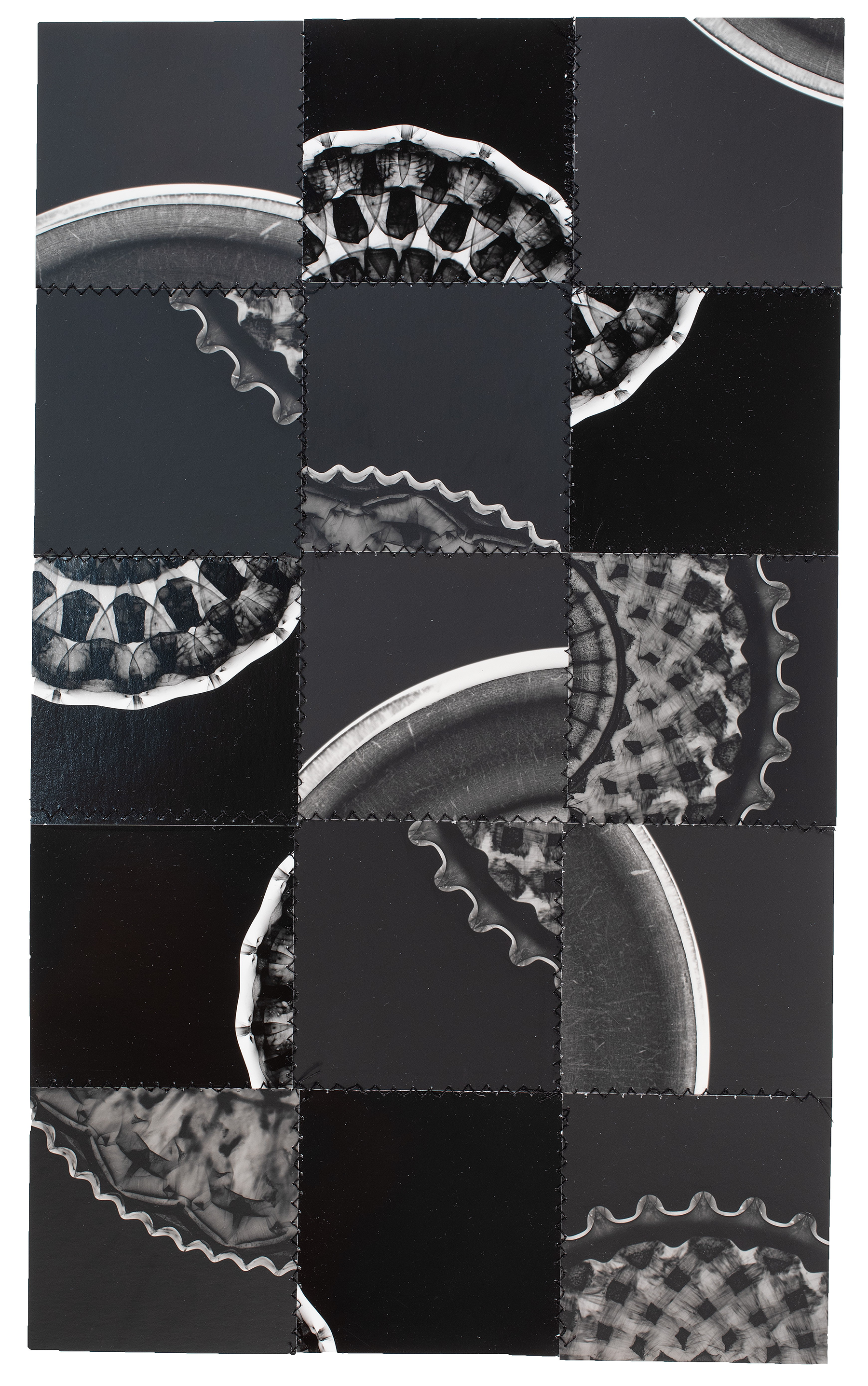 Photogram Collage #48