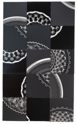 Photogram Collage #48
