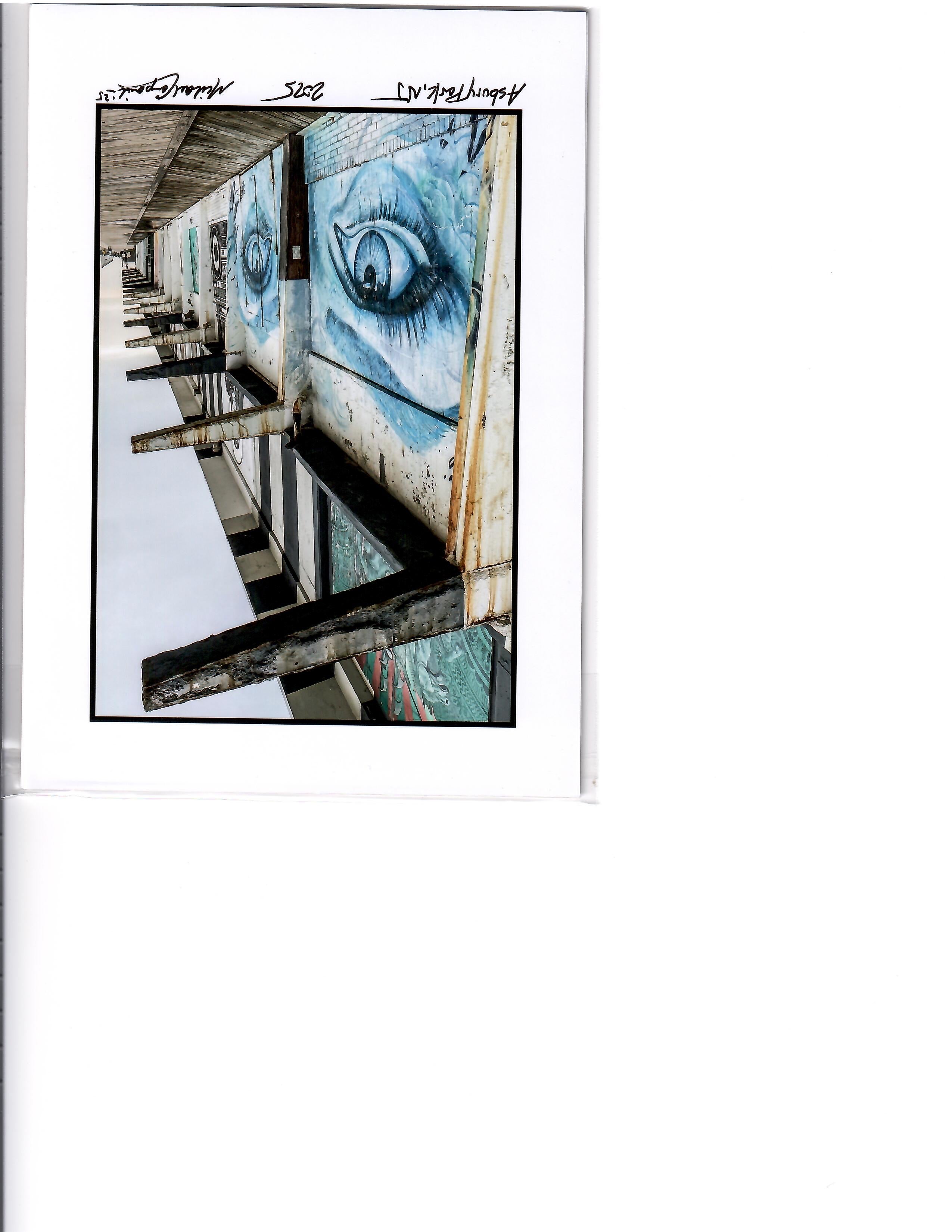 Small Print - Michael Campanile