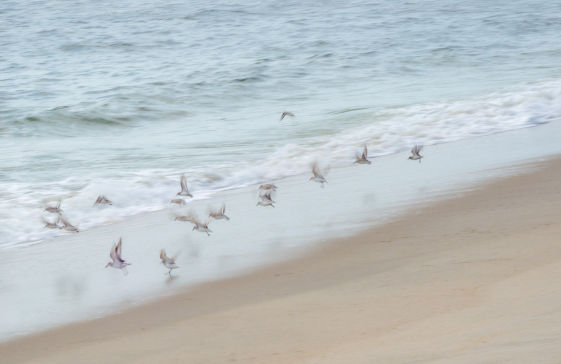 Shoreline Reverie - Barbara Luy