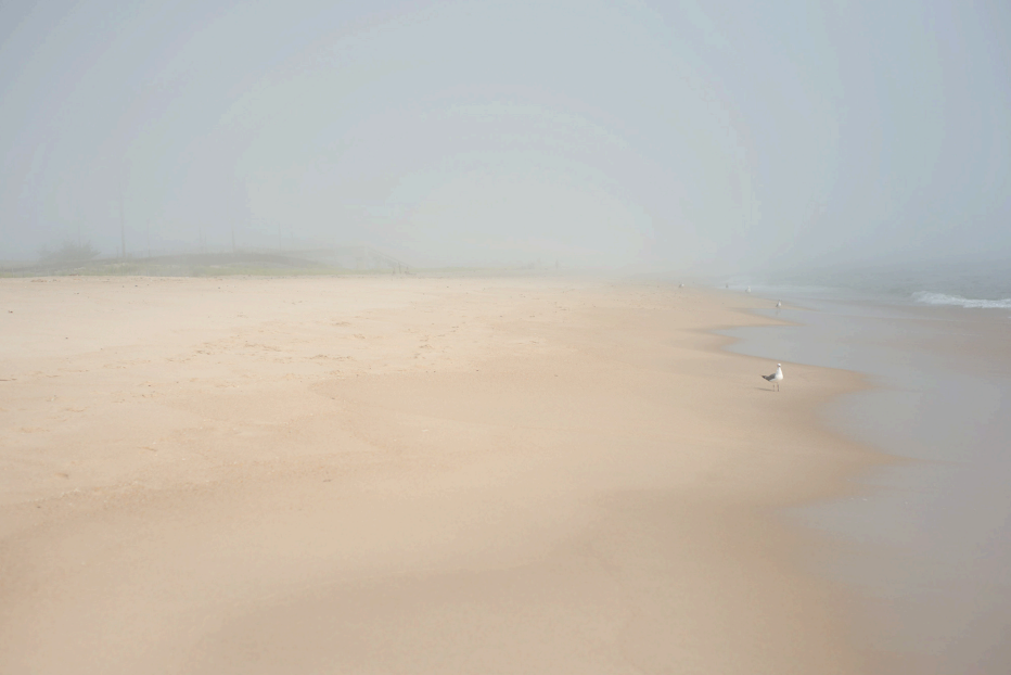 Whisper I - Barbara Luy