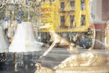Dog in the Window | Window Works Series | - Geanna Merola