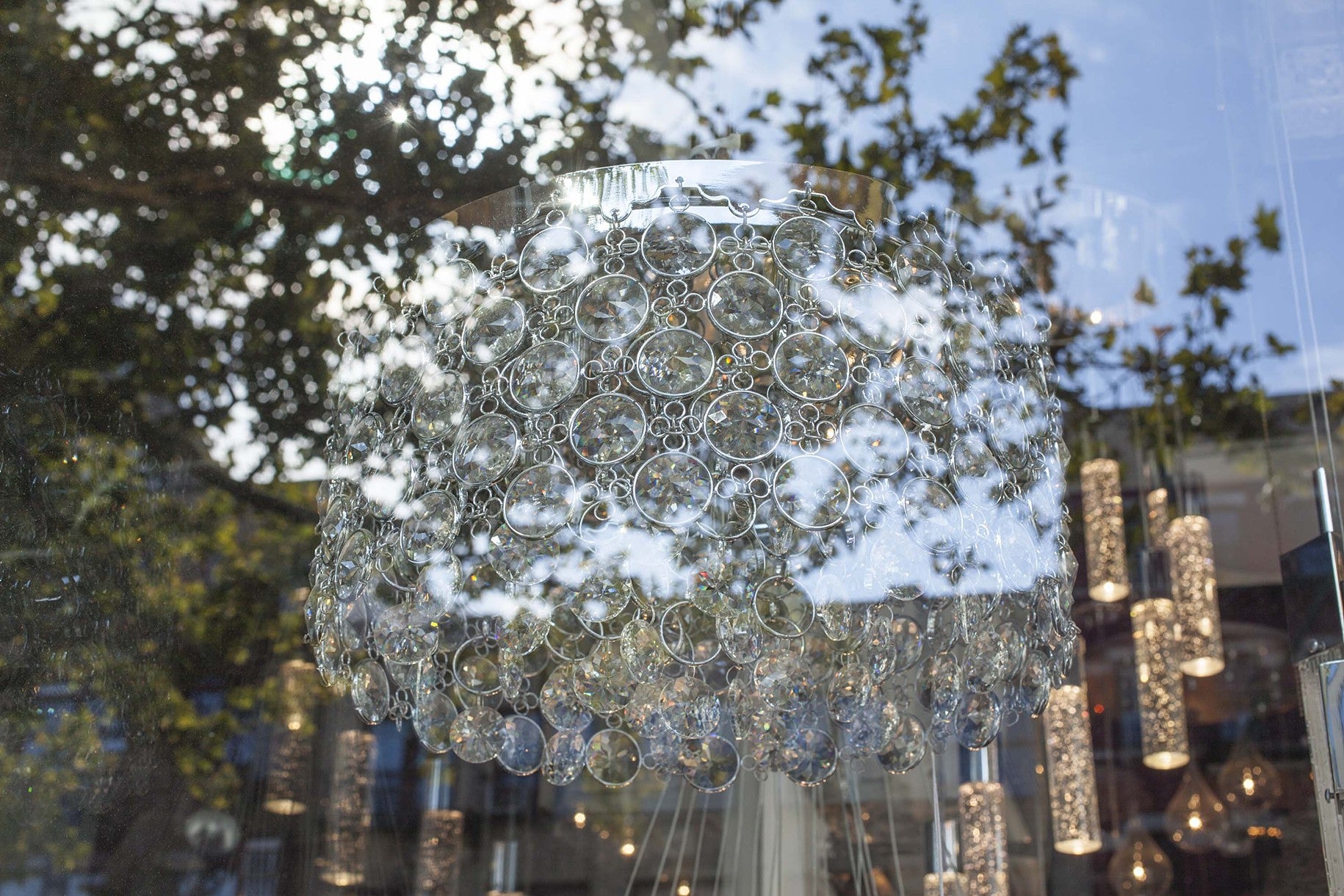 Tree Light | Window Works Series | - Geanna Merola