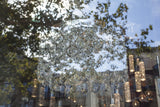 Tree Light | Window Works Series | - Geanna Merola