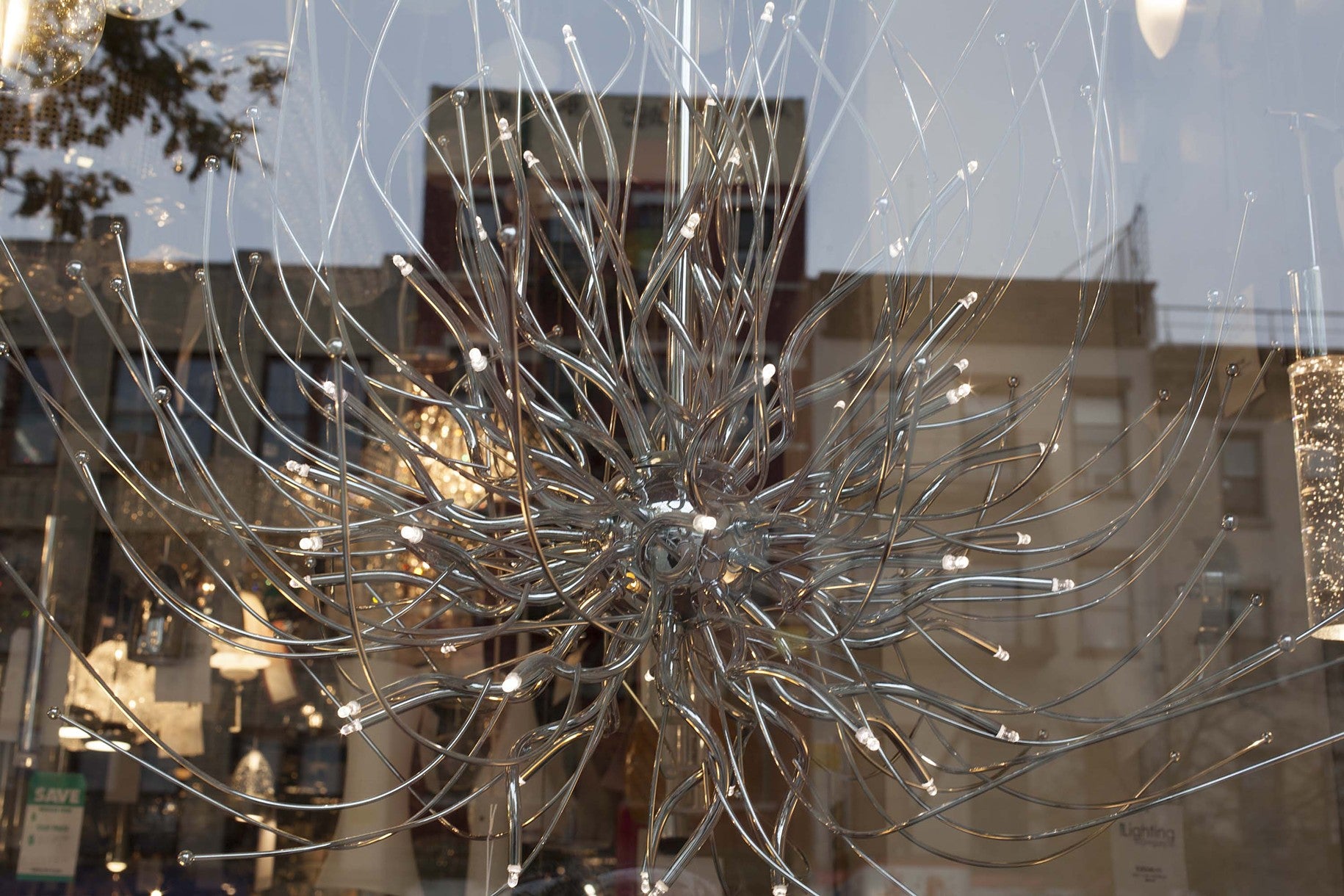 Spider Lamp | Window Works Series | - Geanna Merola