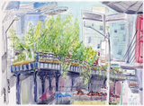 Observations - Lenore Mizarchi-Cohen
